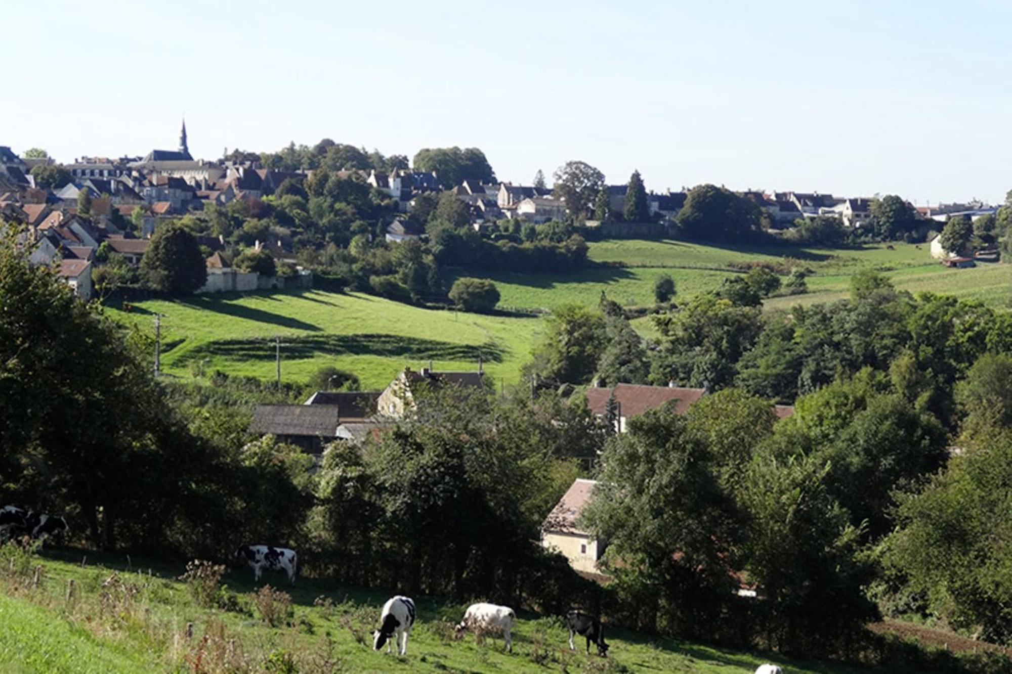 Appartement Le Souffle De L'Orge Mortagne-au-Perche Bagian luar foto